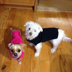 Meet your Posher, Karen